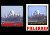 create 10 digital polaroids from 10 of your images or photos small3