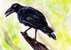 draw a creative awesome pet or any animal you want in my colorful style small3