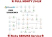 run Senuke xCR Service to do Safest Backlinks | SEO NukeX  in 48 hours small3