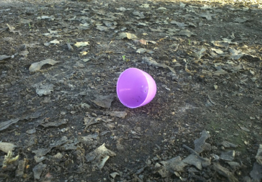 send you 10 random photos of things I find interesting during my day big3