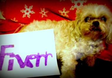have my dog hold up a piece of paper saying your buisness name big3