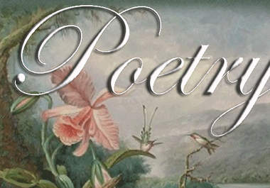 post your poetry and reveiew on my popular poetry review blogger with over 20 backlinks to the post from all major social networking sites big3