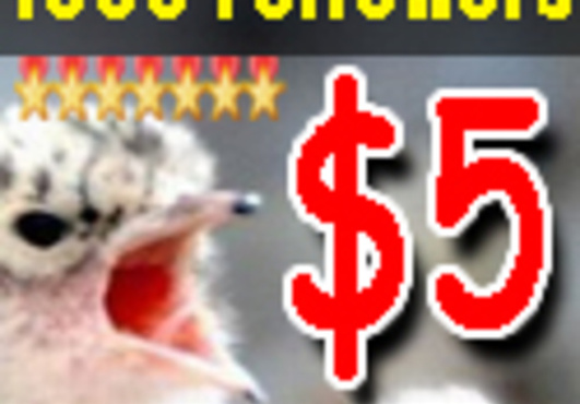 alt_text.html_safe