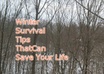 write up to 500 words on how to survive in a cold weather environment small3