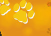 design custom made wallpaper for pc,mobile,laptops and for any business purpose small3