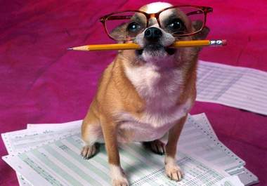 write an upto 500 words, unique, COMPELLING, seo optimized and well researched relevant article on any niche big3