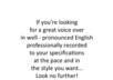 record you a Professional voice over for up to 30 seconds small3
