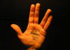 draw your logo and write your message on the palm of my hand and give you the pictures small3