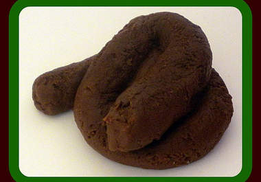 make you a poop soap big3