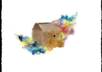 make you a watercolor painting of anything small3