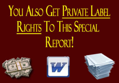 give you my special report with 100 article writing ideas with PLR included big3