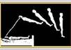 give you a Dream interpretation small3