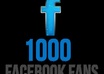 give you 1000+ real human |PERMANENT| facebook likes on your page small3