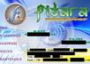 design business cards or professional business identity cards small3