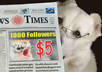 provide 1000 REAL active twitter followers small3