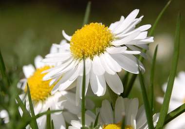 take 8 photographs for the theme or subject of your choice big3