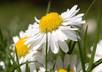 take 8 photographs for the theme or subject of your choice small3