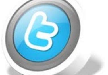 get you 2000 Followers to your twitter account with no password needed in less than 48 hours big3