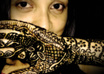 record an HD video saying anything you want in traditional Indian attire small3