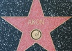 write your name/business name on  a star in Hollywood walk of fame small3