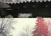 edit your photo with beautiful colors of your choice small3