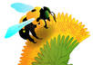 create an animal or insect small3