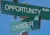 Career development