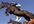 show you how to make 200 dollars a week from horse racing betting