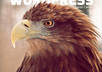 Practical_wordpress
