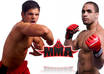 Mma ufc