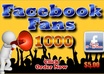 add 1800+ Facebook Fans to your Fan Pages, High Quality Profiled Fan Likes For Your FanPage, within 24 hours