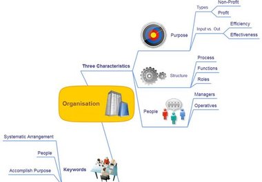 make 5 mind maps from your notes big1