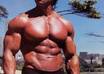 show you a powerful and effective body and muscle building techniques small1