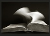 translate your document from English to Italian