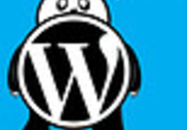 help You With Any Wordpress Problems big1
