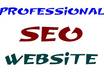 Seo biz