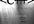 do C/C++ assignment / C/C++ homework