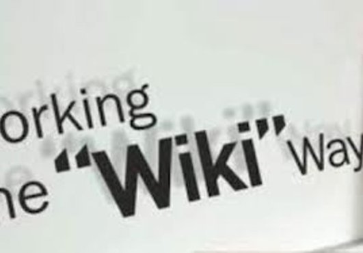 *** Killer Wiki List*** This is my personal Wiki List that i have collected and complied from various lists, all the duplicates have been removed, ran through scrapebox and ranked by PR, there are alot of pagerank 5,6,7,8,9 to build quality backlinks. ***Order this gig and get and get one of my downloadable gigs for FREE***