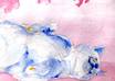 water color a portrait of any animal,plants and human small1