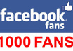 give you more than 1000 facebook fans within 24 hour
