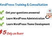 give a 15 minute WordPress Training or Consultation small1