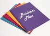 send you a professional word business plan template, an excel 3 year fill in the blanks financial projection template and a sample bplan