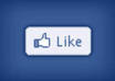Fb fans
