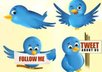 tweet your gig 2 times a day for 14 days