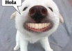 Images