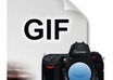 Gif-file-800x800