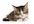 give you tips on how to introduce your new baby to the family pet