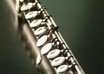 teach the flute in small stages small1