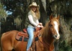 teach you equine performance therapy small1