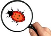 test your Web or Desktop app and provide a detailed BUG report small1